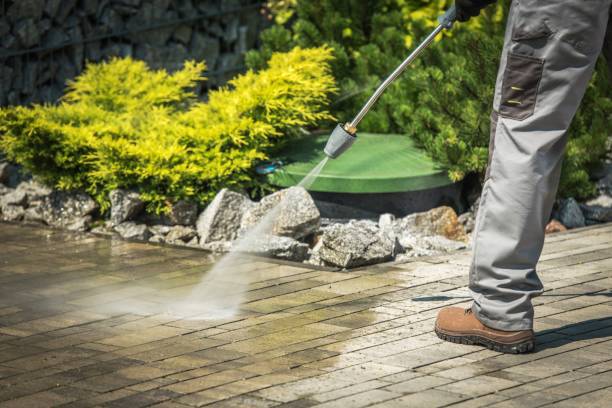 Best Boat and Dock Cleaning  in Pinetops, NC