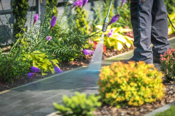 Best Animal Enclosure Cleaning  in Pinetops, NC