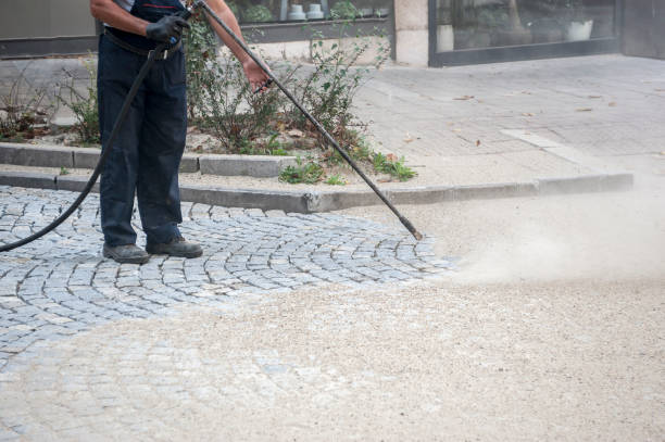 Best Pre-Holiday Cleaning  in Pinetops, NC