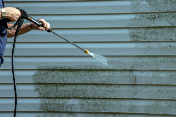 Best Sidewalk and Walkway Cleaning  in Pinetops, NC